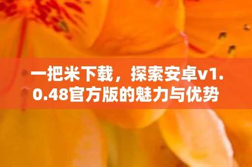 48官方版的魅力与优势图片