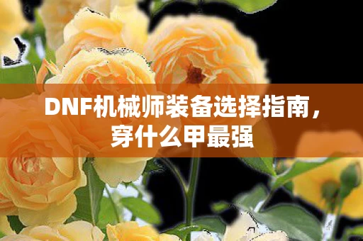 DNF机械师装备选择指南图片