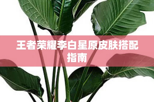 王者荣耀李白星原皮肤搭配指南图片