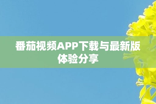 番茄视频APP下载与最新版体验分享图片