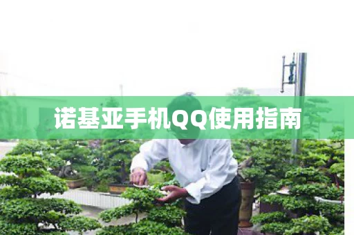 诺基亚手机QQ使用指南图片