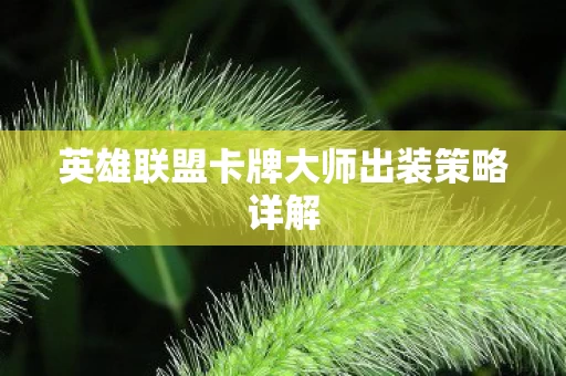 英雄联盟卡牌大师出装策略详解图片