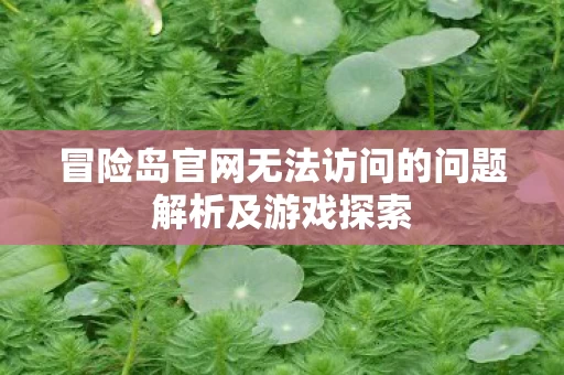 冒险岛官网无法访问的问题解析及游戏探索图片