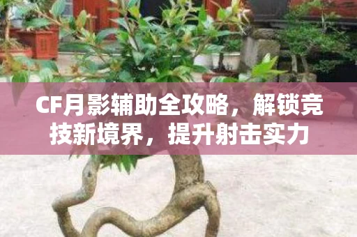 CF月影辅助全攻略图片