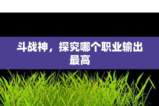探究哪个职业输出最高图片