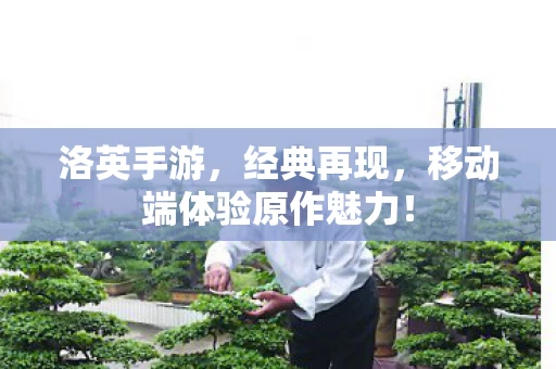移动端体验原作魅力图片