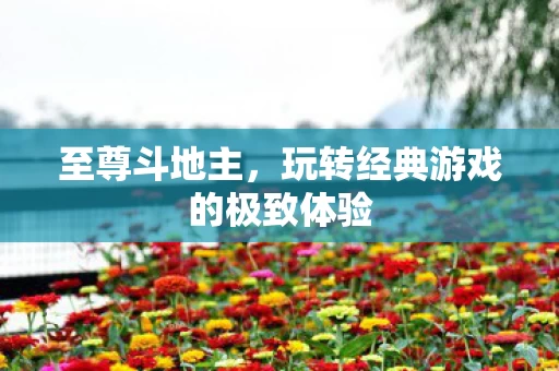 玩转经典游戏的极致体验图片