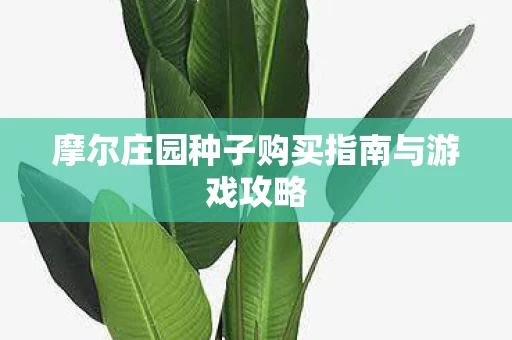 摩尔庄园种子购买指南与游戏攻略图片
