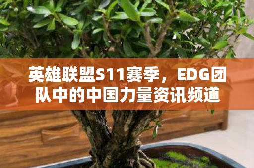 EDG团队中的中国力量资讯频道图片