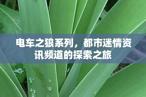 都市迷情资讯频道的探索之旅图片