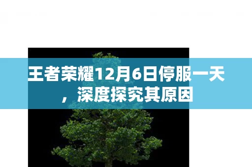 王者荣耀12月6日停服一天图片