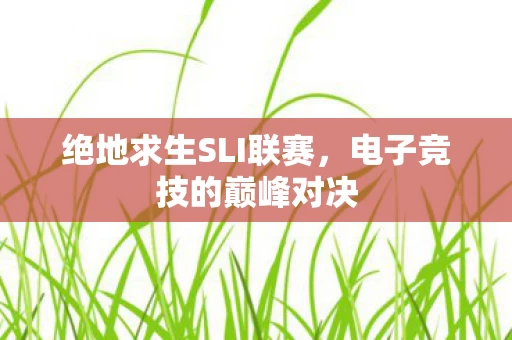 绝地求生SLI联赛图片