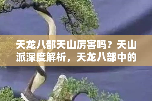 天龙八部中的隐藏强者图片