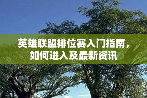 英雄联盟排位赛入门指南图片