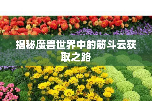 揭秘魔兽世界中的筋斗云获取之路图片