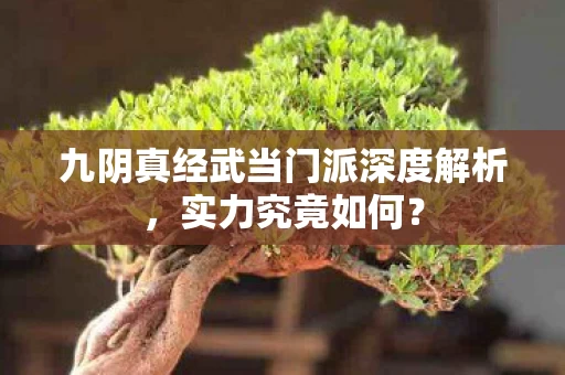 九阴真经武当门派深度解析图片
