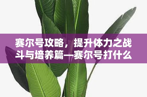 提升体力之战斗与培养篇图片