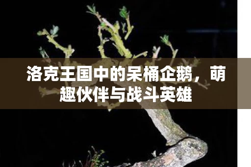 洛克王国中的呆桶企鹅图片