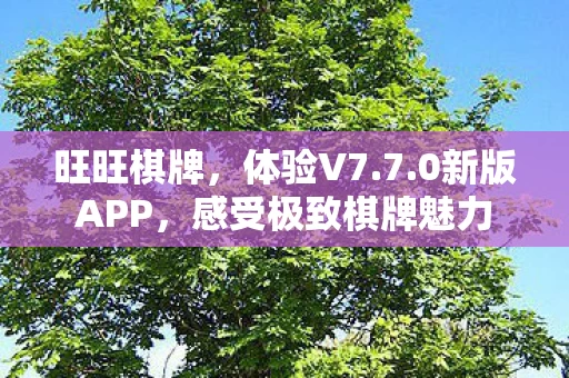 感受极致棋牌魅力图片