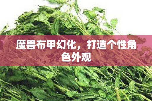 打造个性角色外观图片