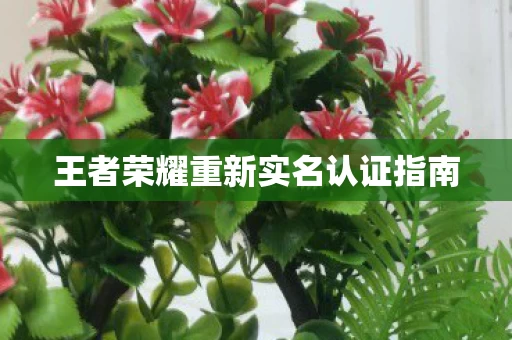 王者荣耀重新实名认证指南图片
