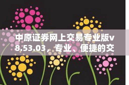 中原证券网上交易专业版v8图片