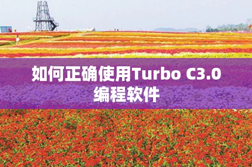 如何正确使用Turbo C3图片