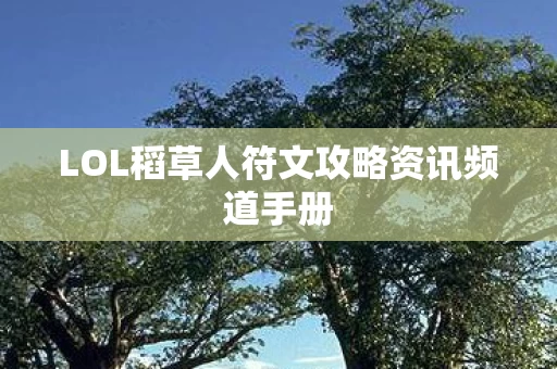 LOL稻草人符文攻略资讯频道手册图片