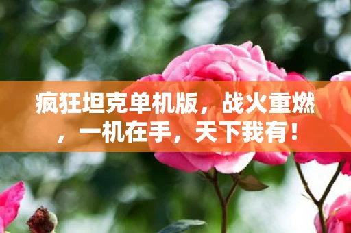 疯狂坦克单机版图片