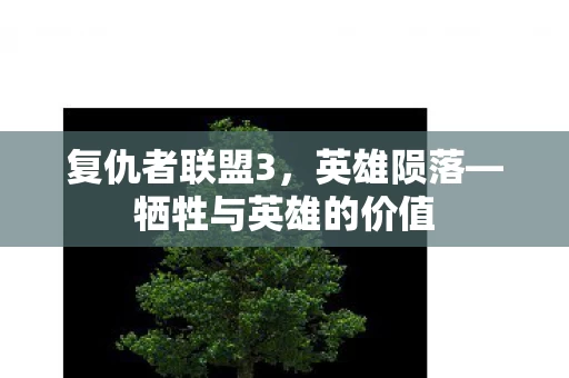 牺牲与英雄的价值图片