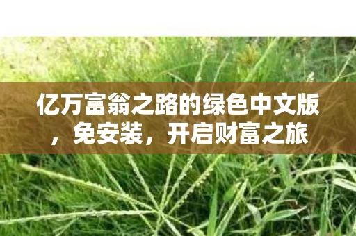 亿万富翁之路的绿色中文版图片