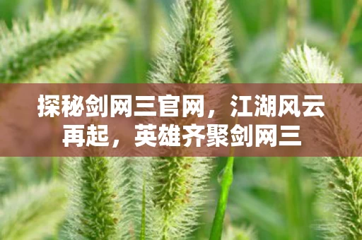 探秘剑网三官网图片