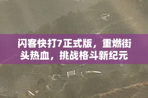 闪客快打7正式版图片
