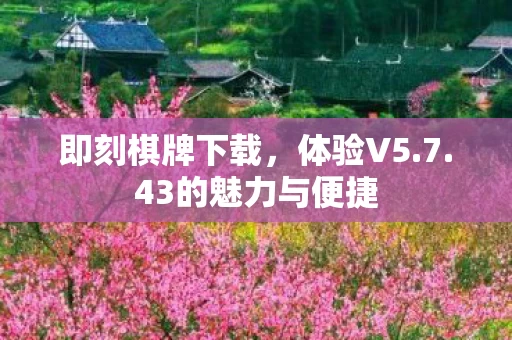 43的魅力与便捷图片
