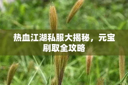 热血江湖私服大揭秘图片