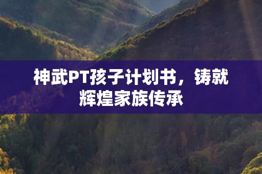 神武PT孩子计划书图片