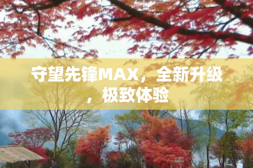 守望先锋MAX图片