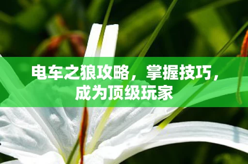 电车之狼攻略图片