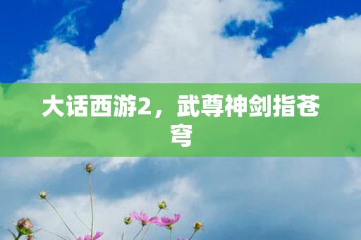 武尊神剑指苍穹图片