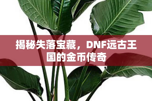 DNF远古王国的金币传奇图片