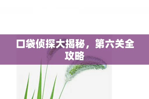 口袋侦探大揭秘图片