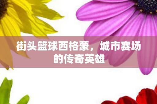 城市赛场的传奇英雄图片