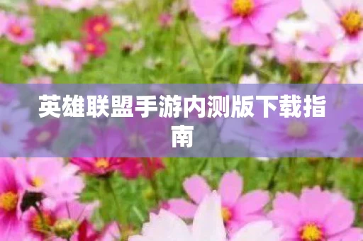 英雄联盟手游内测版下载指南图片