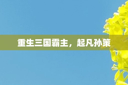 重生三国霸主图片