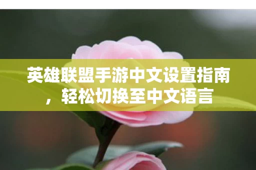 英雄联盟手游中文设置指南图片