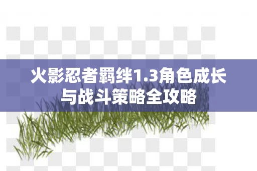 3角色成长与战斗策略全攻略图片