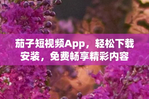茄子短视频App图片