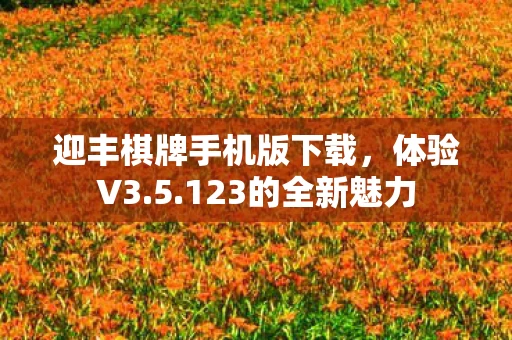 迎丰棋牌手机版下载图片