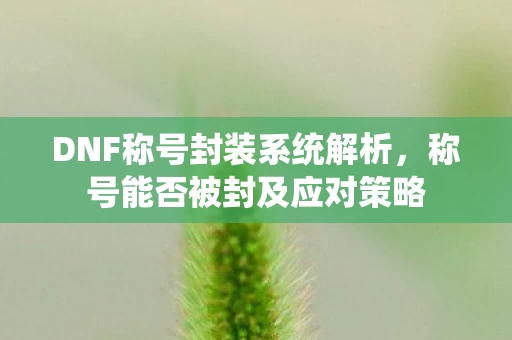 DNF称号封装系统解析图片
