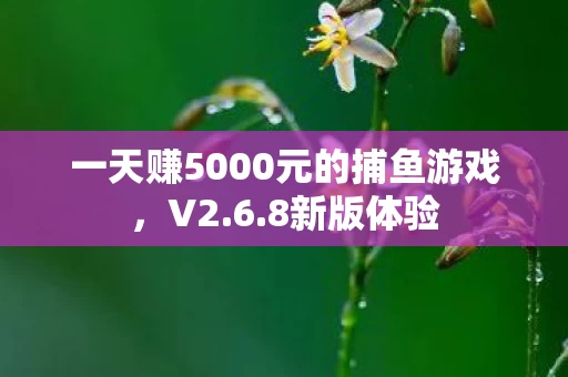 一天赚5000元的捕鱼游戏图片